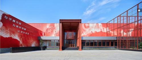 大信家居 以设计为笔，用环保绘就文化家居新篇章